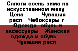 Сапоги осень-зима на искусственном меху › Цена ­ 500 - Чувашия респ., Чебоксары г. Одежда, обувь и аксессуары » Женская одежда и обувь   . Чувашия респ.